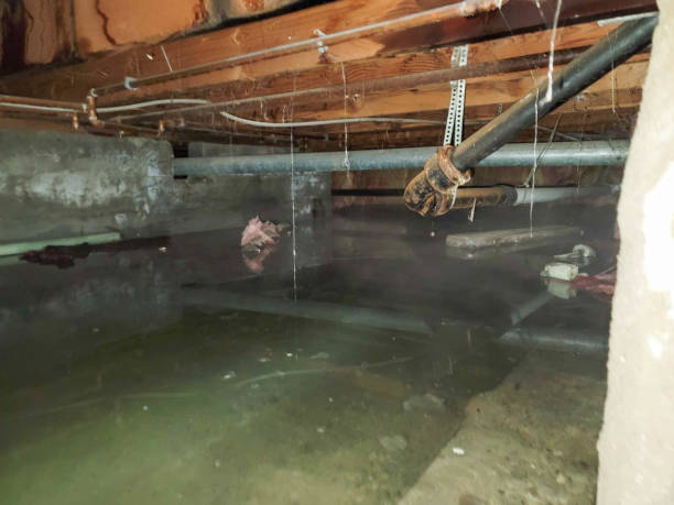 Best Sewage cleanup and water damage restoration  in Hugo, OK