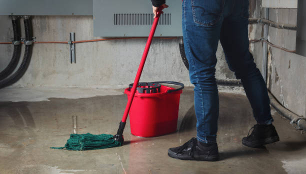 Best 24/7 water damage repair  in Hugo, OK