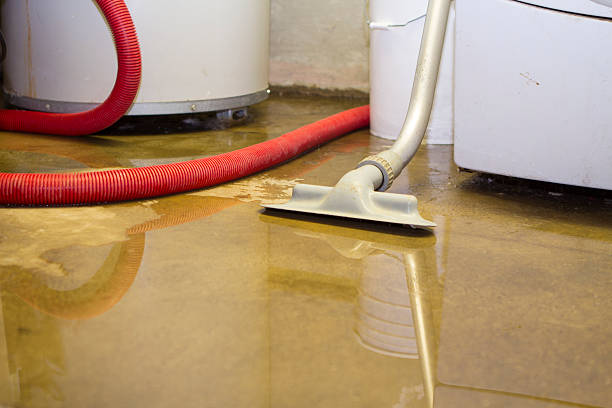 Trusted Hugo, OK Water damage restoration Experts